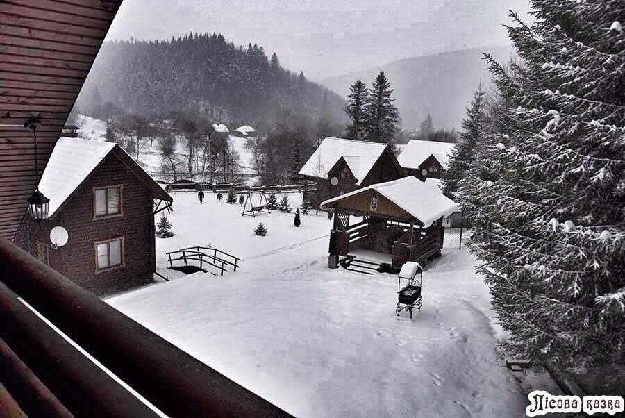 Hotel Lisova Kazka Ždenijevo Exteriér fotografie